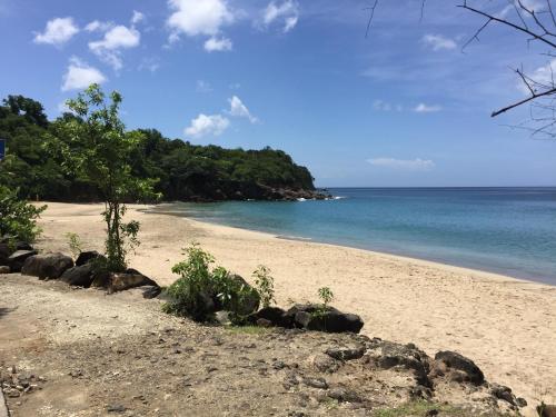 plage, Le Cœur De La Mer in Deshaies plage, Le Cœur De La Mer in Deshaies