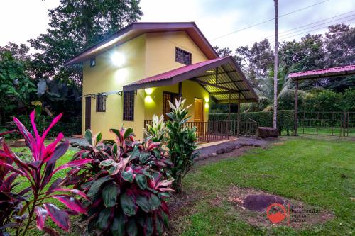 La Casita Green Forest in Fortuna La Casita Green Forest in Fortuna
