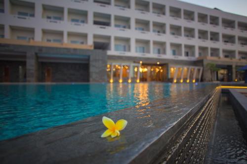 Swimming pool, Pollos Hotel & Gallery in Rembang Swimming pool, Pollos Hotel & Gallery in Rembang