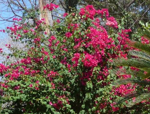 This photo about Casa del Sol Bed and Breakfast shared on HyHotel.com