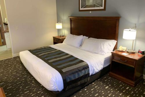 Wingate by Wyndham Brighton in Brighton (MI) Wingate by Wyndham Brighton in Brighton (MI)