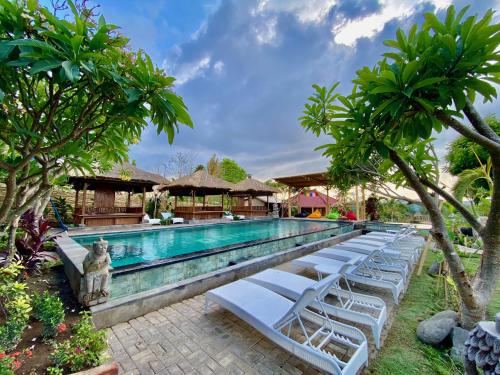 Swimming pool, Odiyana Bali Retreat in Menjangan Swimming pool, Odiyana Bali Retreat in Menjangan