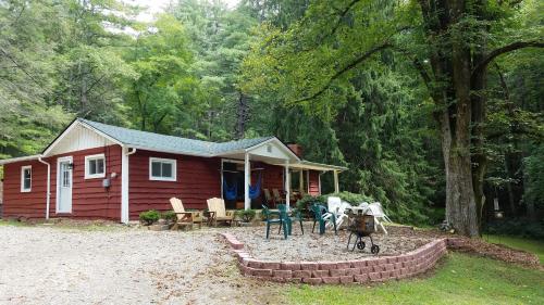 Rustic Asheville Cabin 20 Acres with Swimming Pond! Asheville