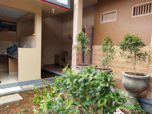Exterior view, Lidah Lokal Guest House Singaraja near University Pendidikan Ganesha Exterior view, Lidah Lokal Guest House Singaraja near University Pendidikan Ganesha