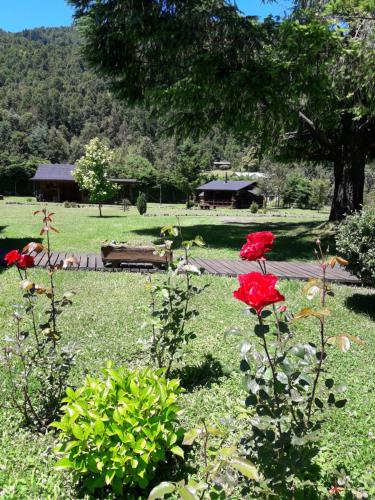 Hotel Dos Oregones Caburgua