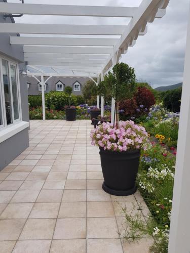 Eingang, Cranberry cottage studio in Belvidere Eingang, Cranberry cottage studio in Belvidere