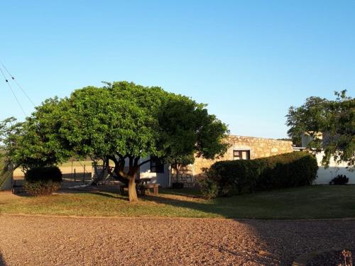 Įėjimas, Die Buitekamer in Bredasdorpas Įėjimas, Die Buitekamer in Bredasdorpas