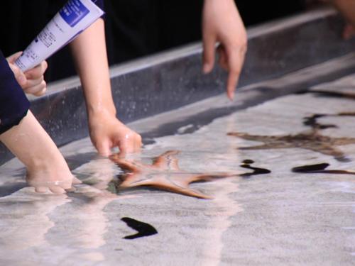 This photo about Kariyushi Condominium Resort Nago Lapule Terrace shared on HyHotel.com