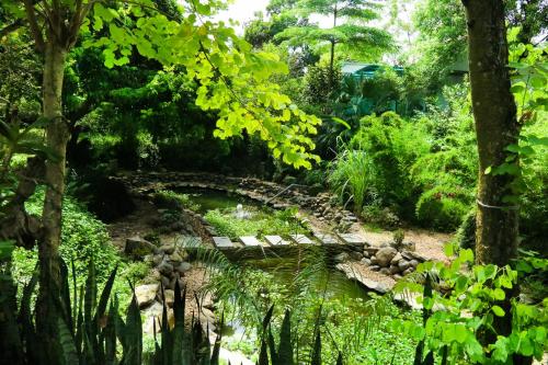 Van Son Garden - HomeStay in Thach That District Van Son Garden - HomeStay in Thach That District