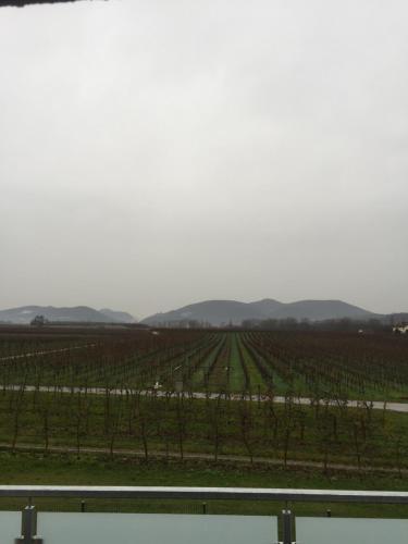 Kilátás, Valley ferienwohnung SÜW (Valley ferienwohnung SUW) in Klingenmunster Kilátás, Valley ferienwohnung SÜW (Valley ferienwohnung SUW) in Klingenmunster