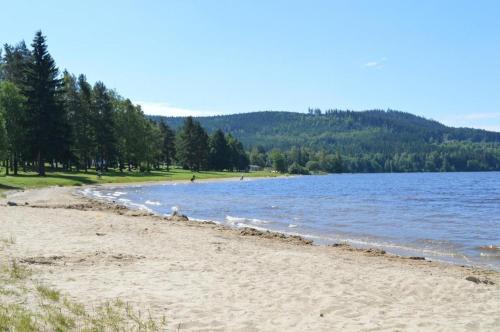 ชายหาด, Villapark Lipno Dreams in ลิพโน นาด เวลทาวู ชายหาด, Villapark Lipno Dreams in ลิพโน นาด เวลทาวู