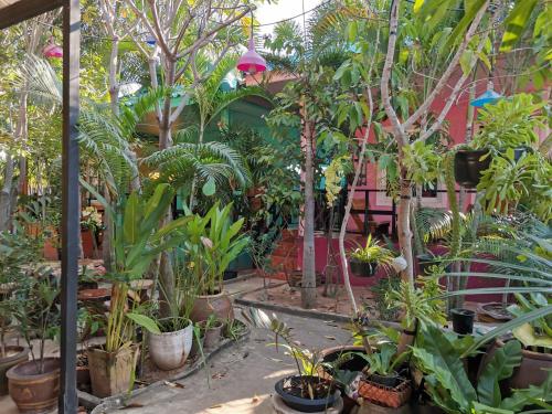 This photo about Mushroom House Kohlarn shared on HyHotel.com