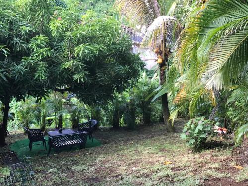 Jardin, Coconut Studio in Capesterre Belle Eau Jardin, Coconut Studio in Capesterre Belle Eau