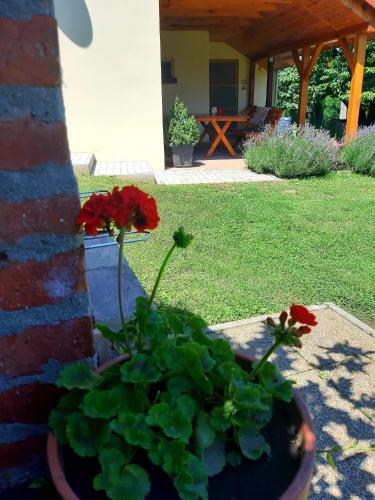 Boglarka Vendeghaz in Vasvár Boglarka Vendeghaz in Vasvár