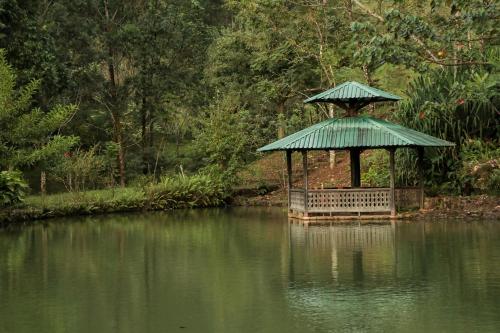 花園, Malekus Mountain Lodge in 阿雷納 花園, Malekus Mountain Lodge in 阿雷納