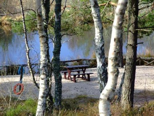 Зручності, Tullochwood Lodges in Форрс Зручності, Tullochwood Lodges in Форрс