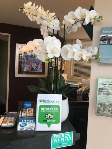 Harbour City Motor Inn in Tauranga Harbour City Motor Inn in Tauranga