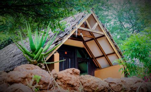 Teen Ranch Kenya in Αμποσέλι Teen Ranch Kenya in Αμποσέλι