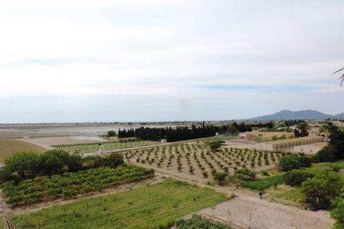 Vista exterior, Balconet - Apartamento con espectaculares vistas al Delta del Ebro in Camarles Vista exterior, Balconet - Apartamento con espectaculares vistas al Delta del Ebro in Camarles