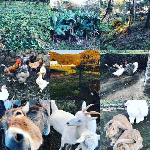 Make it Happen Farm in ไฟอาล ฮอตา Make it Happen Farm in ไฟอาล ฮอตา