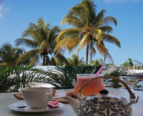 SaS NEMO in Lamentin SaS NEMO in Lamentin