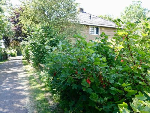 المنظر الخارجي, B&B de Pastory in Warns المنظر الخارجي, B&B de Pastory in Warns