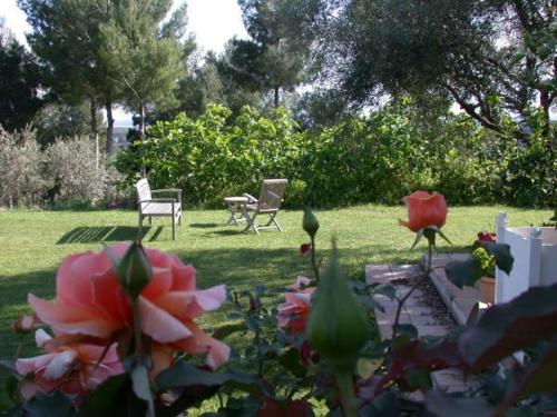 This photo about Mas de la Rabassiere shared on HyHotel.com