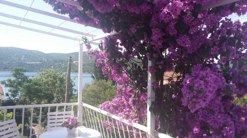 Hotel Apartment Slano 8599a