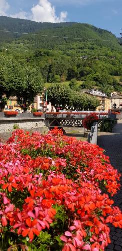 appartamenti vacanza El Remanso in Edolo appartamenti vacanza El Remanso in Edolo