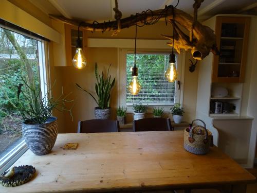 مرافق, vakantiehuis op de veluwe in وولفيزي مرافق, vakantiehuis op de veluwe in وولفيزي