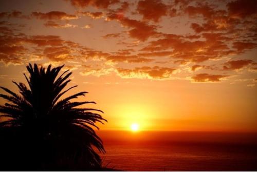 This photo about Cape Rose Cottage shared on HyHotel.com