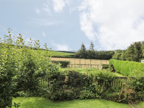 Tiore in Kelso Tiore in Kelso