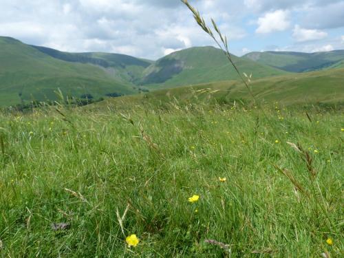 Howgill Cottage in Sedbergh Howgill Cottage in Sedbergh