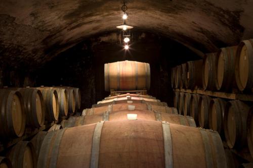Fattoria di Rignana in ลัคกา ซิตี้ เซ็นเตอร์ Fattoria di Rignana in ลัคกา ซิตี้ เซ็นเตอร์