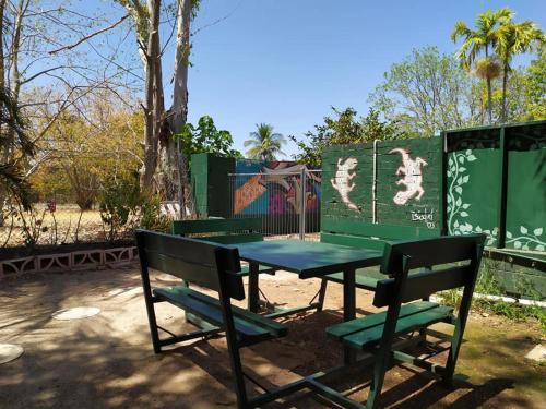 This photo about Palm Court Backpackers shared on HyHotel.com