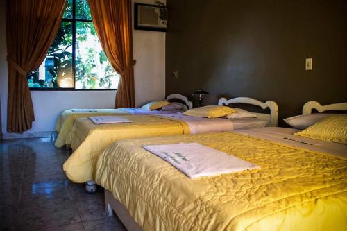 Hotel Hosteria Amazonas