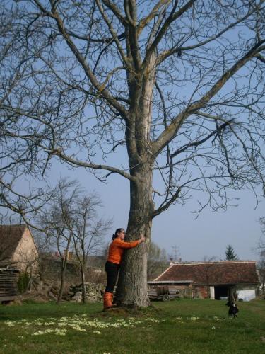 This photo about Nagy Vendeghazak shared on HyHotel.com