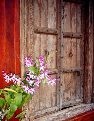 المرافق, Green Gecko in براجاك سيلباكوم المرافق, Green Gecko in براجاك سيلباكوم