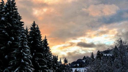 A környék, Apartment MASCH in Arriach A környék, Apartment MASCH in Arriach