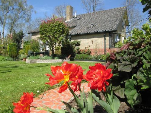 Garden, B&B Elbahof, goed en goedkoop! in Hem Garden, B&B Elbahof, goed en goedkoop! in Hem