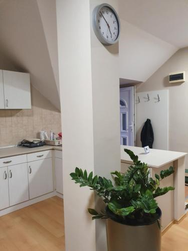 Bella Apartman in Petofitelep Bella Apartman in Petofitelep
