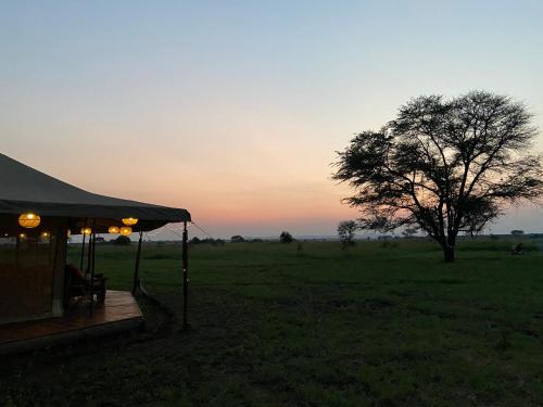 Vistas, Zawadi Camp in Serengeti Vistas, Zawadi Camp in Serengeti