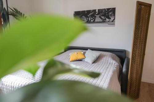 Un terrazzo sulla magia