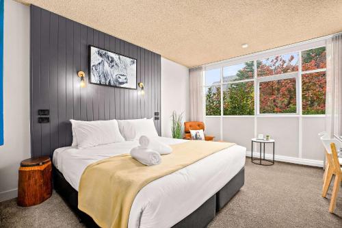 City Centre Motel Armidale near アーミデール空港 City Centre Motel Armidale near アーミデール空港