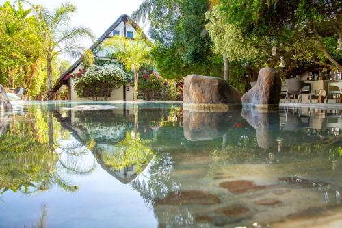Baseinas, Out of Africa Town Lodge in Otjiwarongo Baseinas, Out of Africa Town Lodge in Otjiwarongo