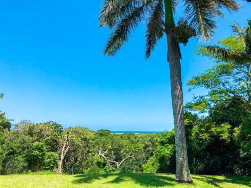 Garden, Ingwenya Lodge St Lucia in St Lucia Garden, Ingwenya Lodge St Lucia in St Lucia