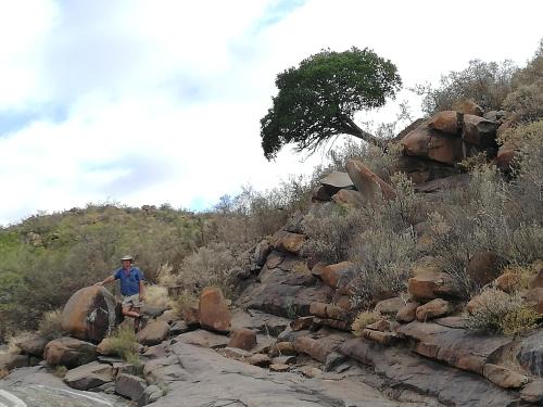 Linduli Farmstay in Cradock Linduli Farmstay in Cradock