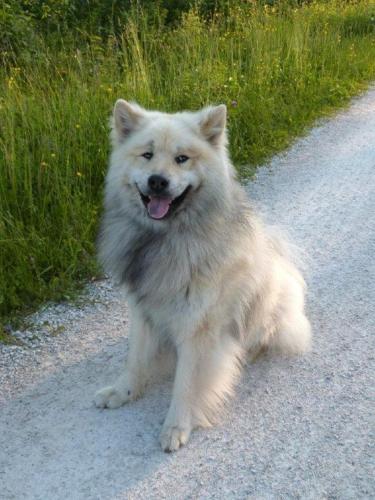 This photo about Ferienhaus Felicitas shared on HyHotel.com