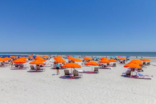 Beach, Cutter Court in Harbour Town Beach, Cutter Court in Harbour Town