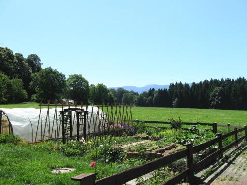 Garden, Saliterhof in Warngau Garden, Saliterhof in Warngau